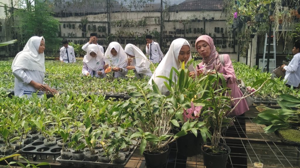 Praktek Perkembangbiakan Vegetatif Siswa Kelas 9 di Kebun Anggrek Singosari